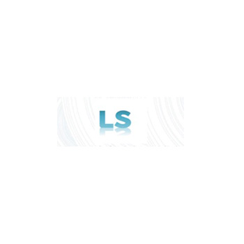 LS信息技術